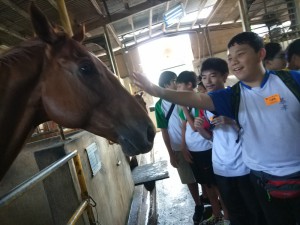 其他學習經歷組--馬房體驗營